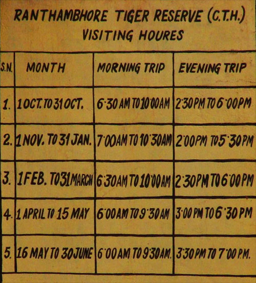 Ranthambore Jeep Safari Timings